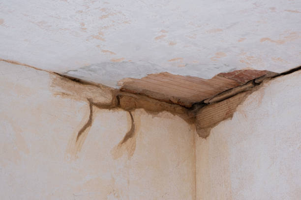 Best Emergency water damage restoration  in Triana, AL