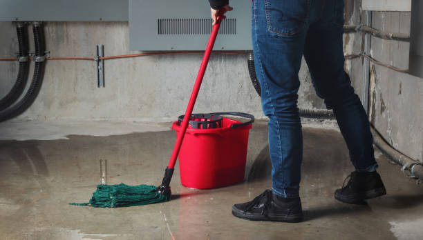 Best Flood restoration services  in Triana, AL