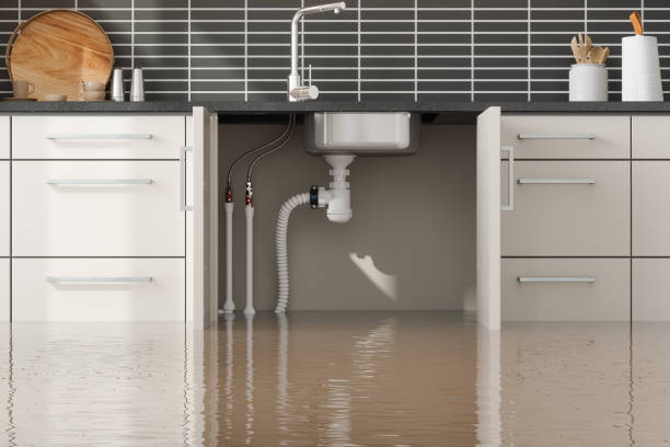 Carpet water damage restoration in Triana, AL