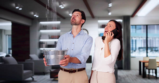 Best Water damage repair service  in Triana, AL